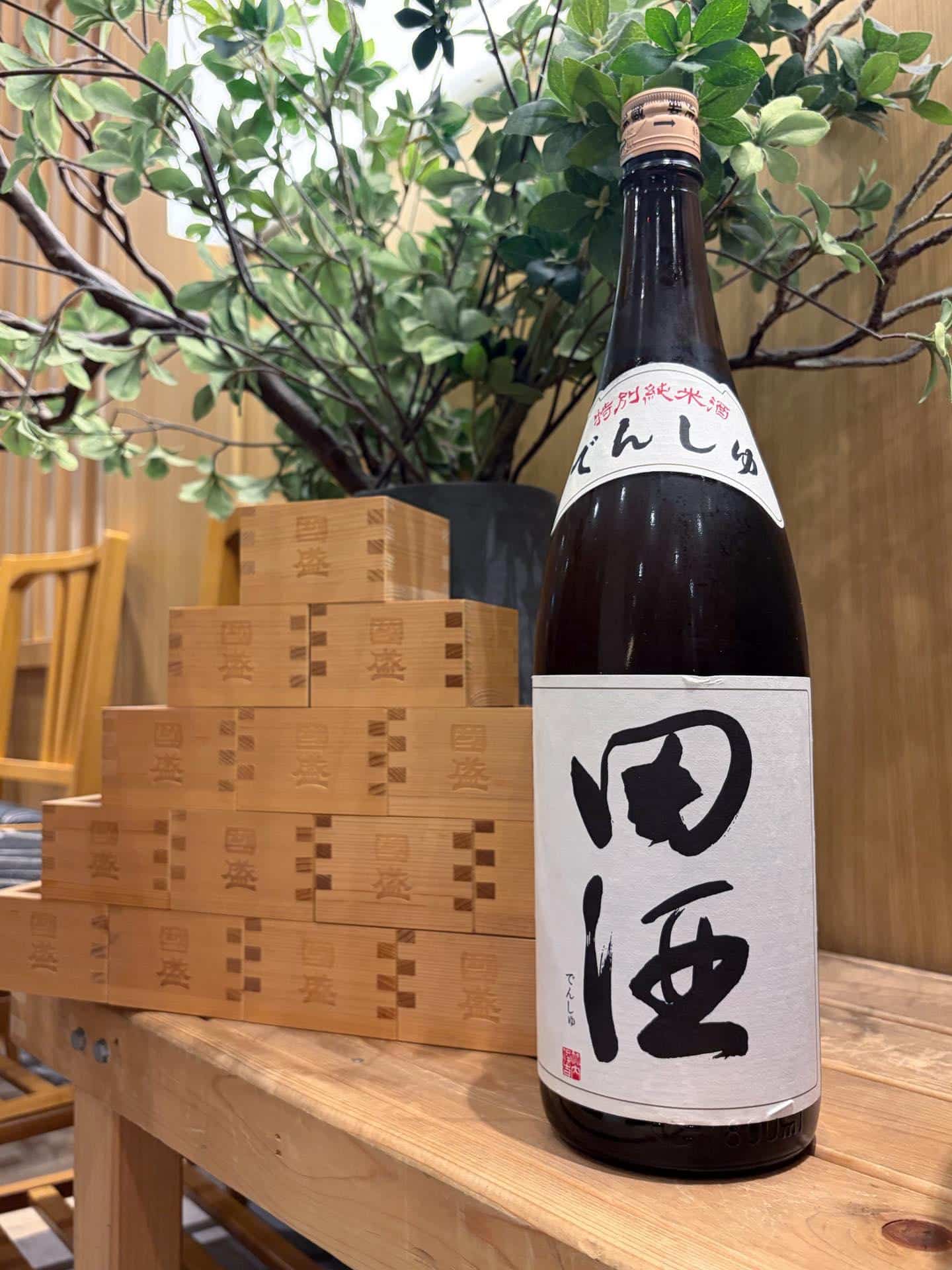毎週火曜日は【吟醸マグロの日】吟醸マグロ/名古屋/ルーセント/名駅/日本酒/田酒/海鮮/マグロ/鯵/カンパチ/居酒屋/宴…
